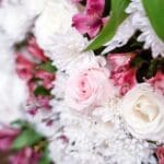 A dense arrangement of white mums, white and blush roses, and magenta alstroemeria with green leaves.